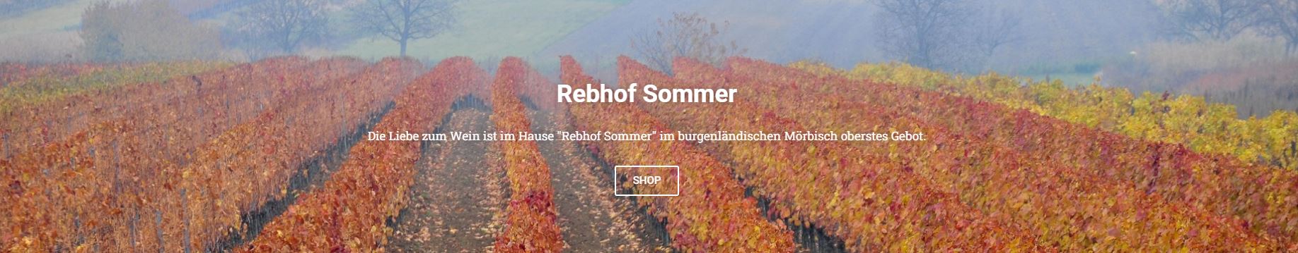 Wein-Sommer-Banner